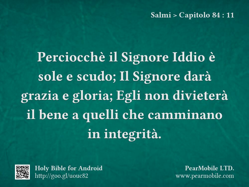 Salmi, Capitolo 84:11